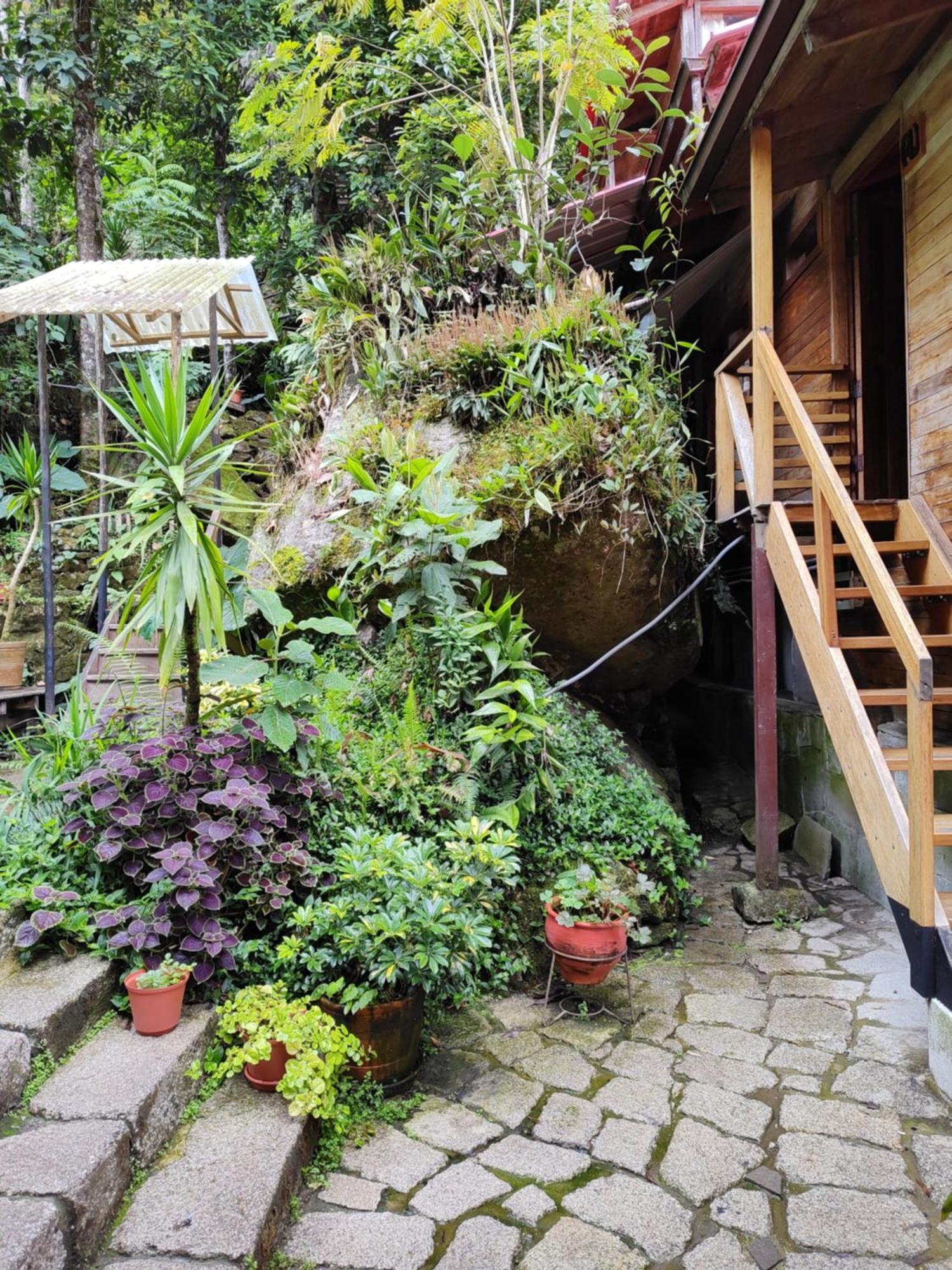 Tree House Lodge Machu Picchu Exterior photo
